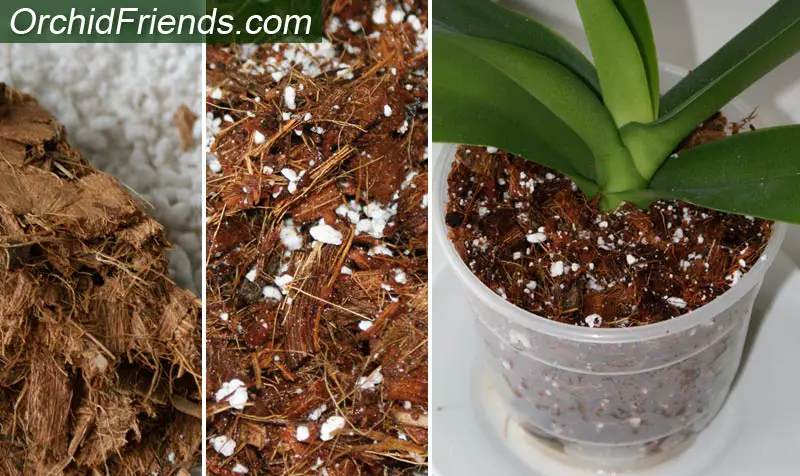 Coconut husk coir for orchids