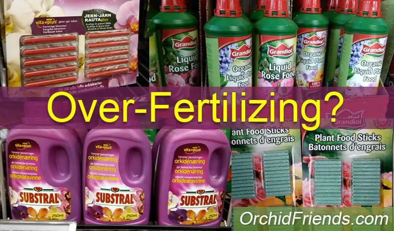 Over-fertilizing orchids