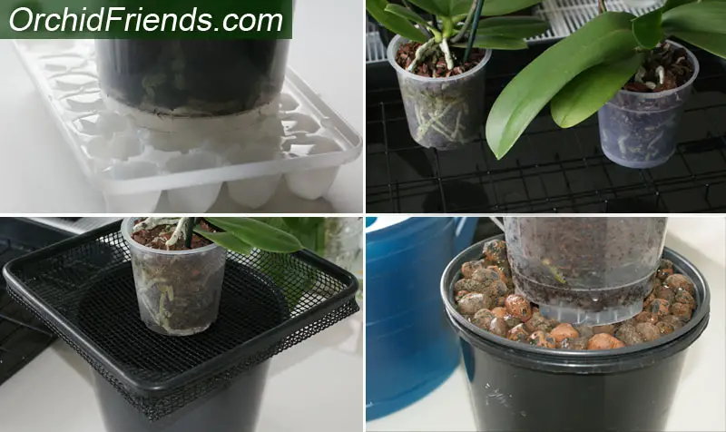 How to create a humidity tray for orchids