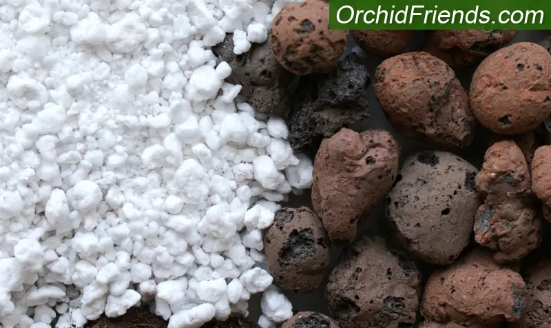 Leca and Perlite for Orchids