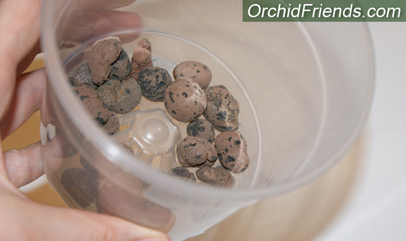 Lecal pebbles in orchid pot