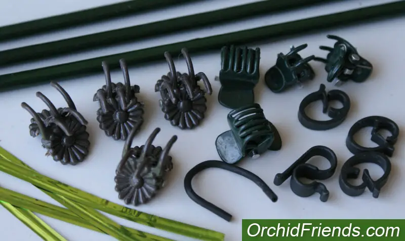 Staking and clips for orchid flower spikes