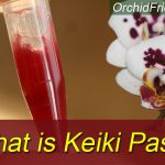 What is keiki paste?