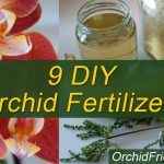 9 Great Homemade Orchid Fertilizers