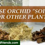 Can I use orchid soil for other plants