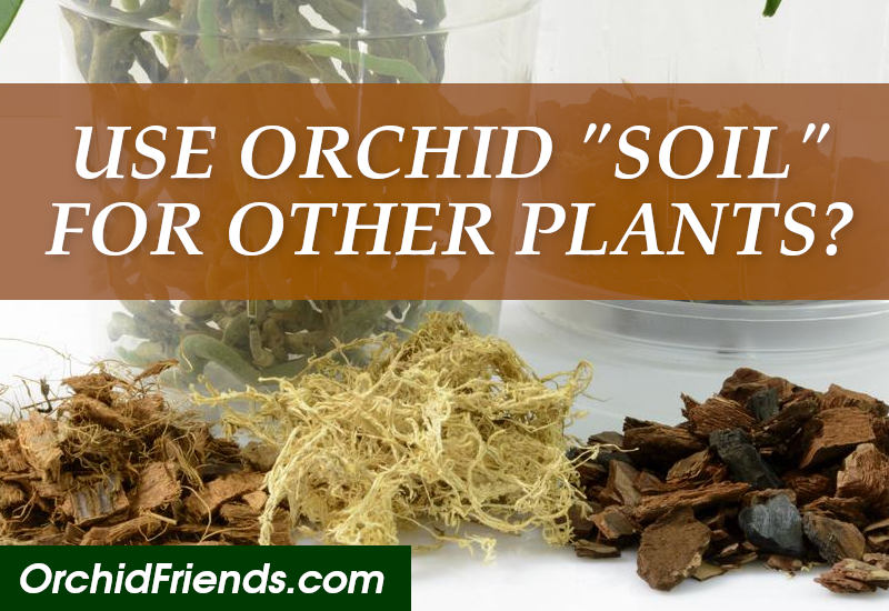 Can I use orchid soil for other plants