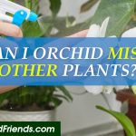 Can you use orchid mist on other plants